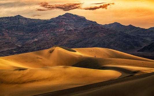 Dune | Sands of Time